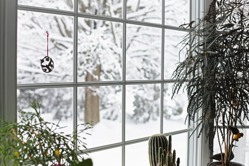 A view through a paneled window framed by indoor house plants reveals a snowy winter landscape with snow-covered tree branches outdoors. A small ornament hangs attached to the upper left pane of the glass.